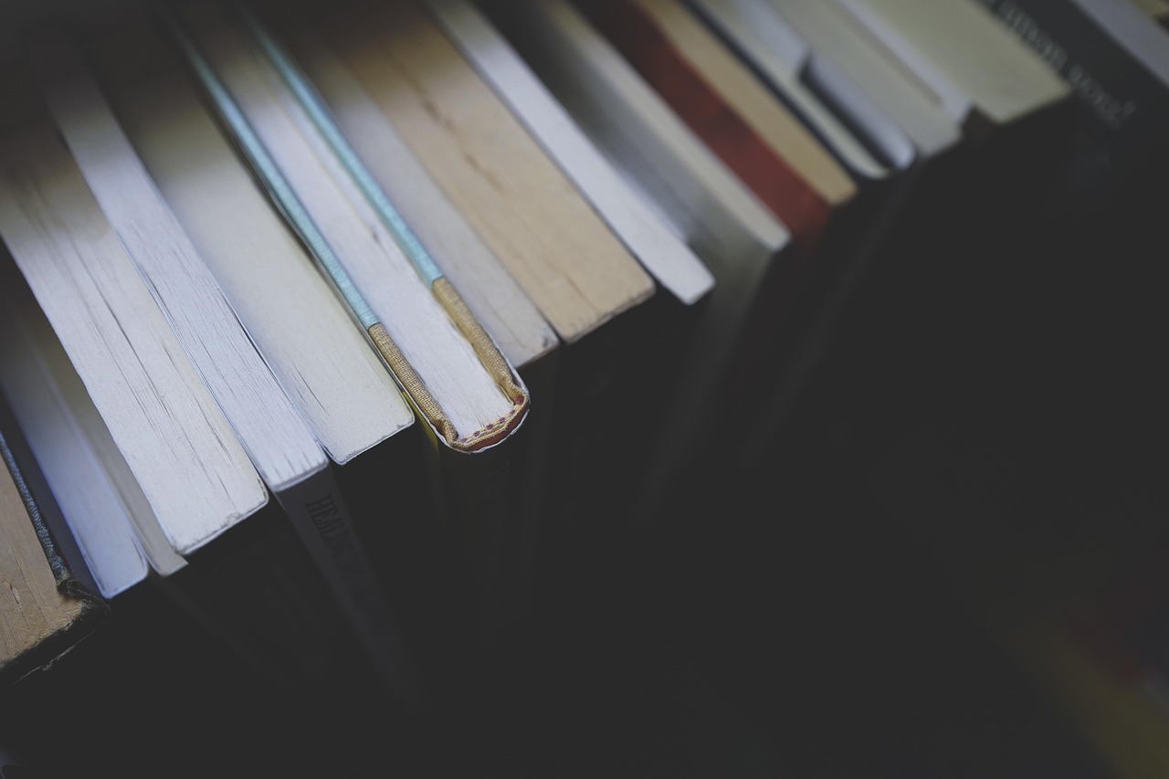 The careful reader guide to reading expert opinions